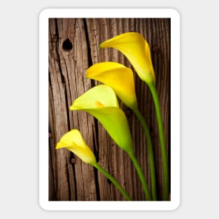 Calla lilies against wooden wall Sticker